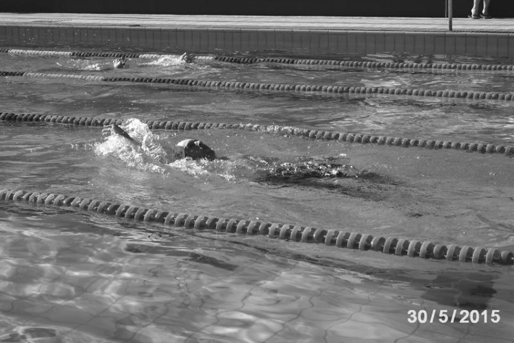 cee82f70b88a6d651e884b1aa630c5b5